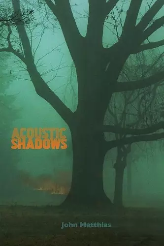 Acoustic Shadows cover