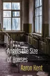 Angels the Size of Houses cover