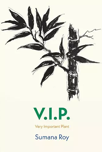 V.I.P. cover