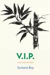 V.I.P. cover