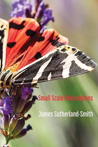 Small-Scale Observations cover