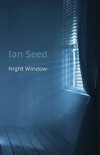 Night Window cover