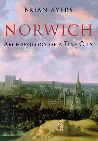 Norwich Archaeology of a Fine City cover