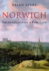 Norwich Archaeology of a Fine City cover