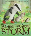 Badger and the Great Storm cover