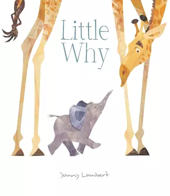 Little Why cover