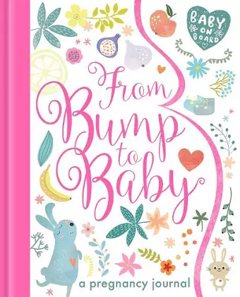 From Bump to Baby cover