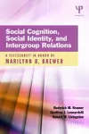 Social Cognition, Social Identity, and Intergroup Relations cover