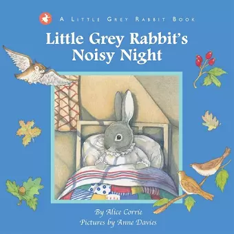 Little Grey Rabbit's Noisy Night cover