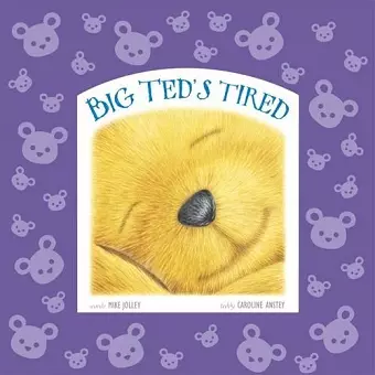 Big Ted's Tired cover