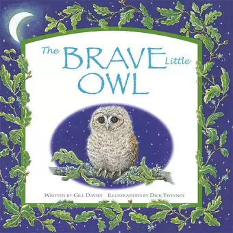 The Brave Little Owl cover