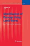 Identification of Damage Using Lamb Waves cover