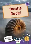 Fossils Rock! cover