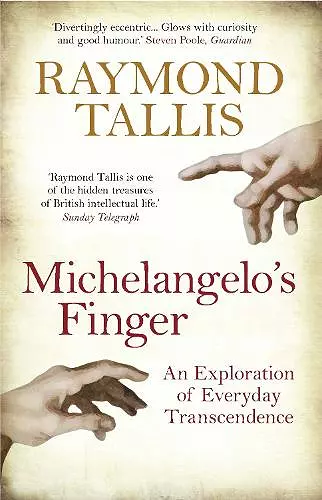 Michelangelo's Finger cover