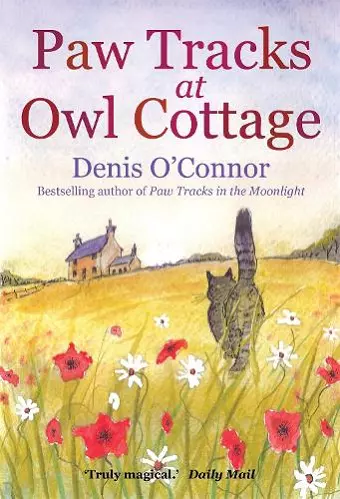 Paw Tracks at Owl Cottage cover