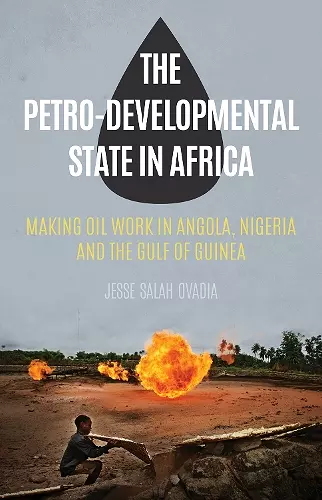 The Petro-Developmental State in Africa cover