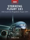 Storming Flight 181 cover