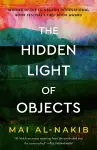 The Hidden Light of Objects cover