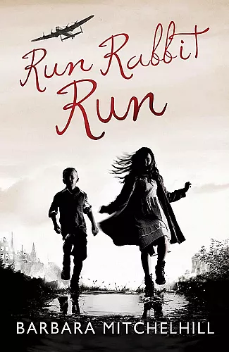 Run Rabbit Run cover