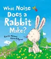 What Noise Does a Rabbit Make? cover