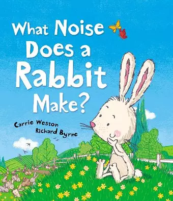 What Noise Does a Rabbit Make? cover