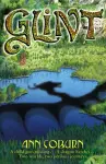 Glint cover