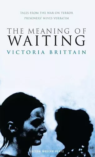 The Meaning of Waiting cover