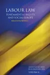 Labour Law, Fundamental Rights and Social Europe cover