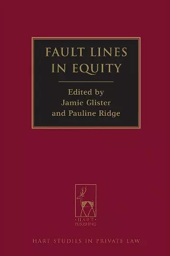 Fault Lines in Equity cover