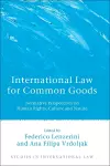 International Law for Common Goods cover