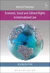 Economic, Social and Cultural Rights in International Law cover