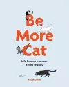 Be More Cat cover