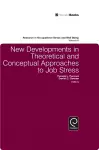 New Developments in Theoretical and Conceptual Approaches to Job Stress cover