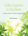 Like Leaves to the Sun cover