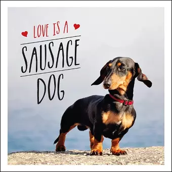 Love is a Sausage Dog cover