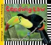 Cyfres Dwlu Dysgu: Coedwig Law cover