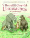 Y Bwystfil Gwyrdd Llamsachus cover