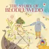 Four Branches of the Mabinogi: Story of Blodeuwedd, The cover
