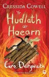 Yr Hudlath a'r Haearn: Curo Deirgwaith cover