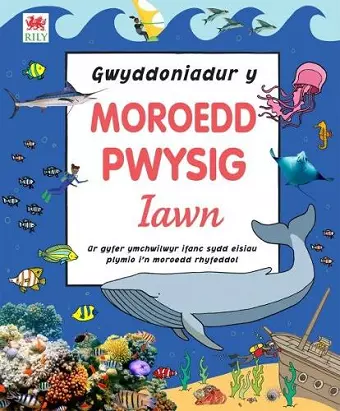 Gwyddoniadur y Moroedd Pwysig Iawn cover