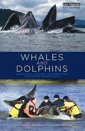 Whales and Dolphins cover