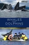 Whales and Dolphins cover