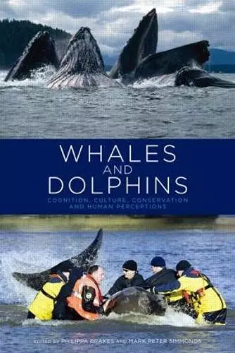 Whales and Dolphins cover