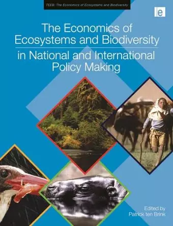 The Economics of Ecosystems and Biodiversity in National and International Policy Making cover