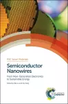 Semiconductor Nanowires cover