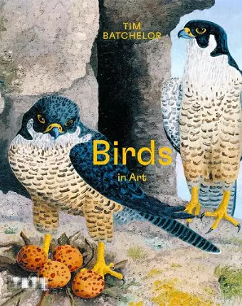 Birds in Art cover