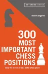 300 Most Important Chess Positions packaging