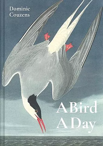 A Bird A Day cover