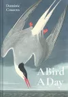 A Bird A Day packaging