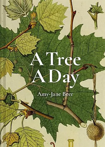 A Tree A Day cover